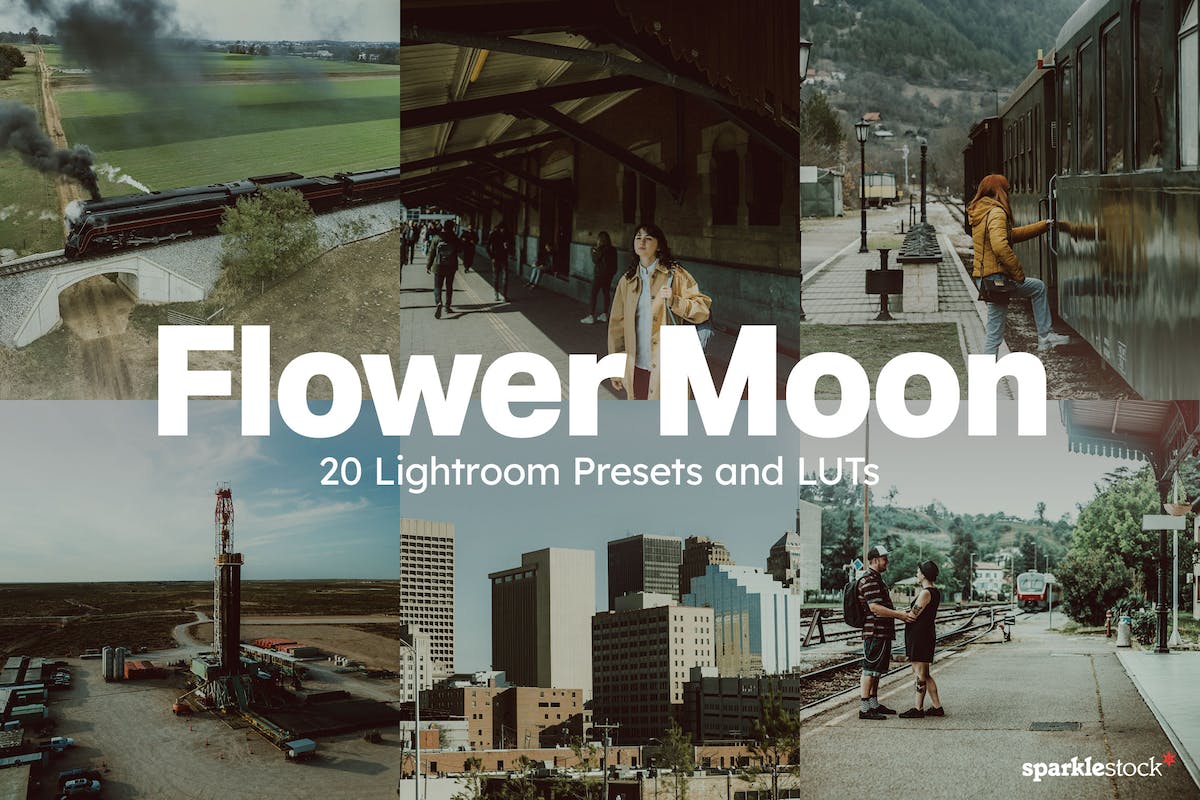 20 个 Flower Moon Lightroom 预设和 LUT