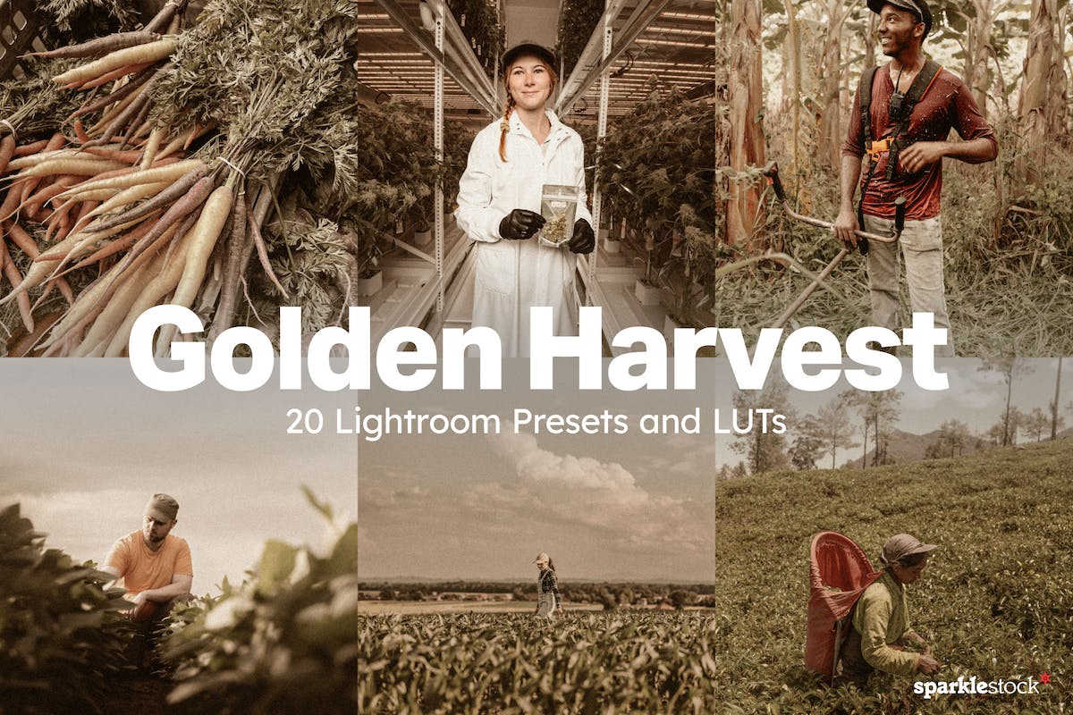 20 个 Golden Harvest Lightroom 预设和 LUT