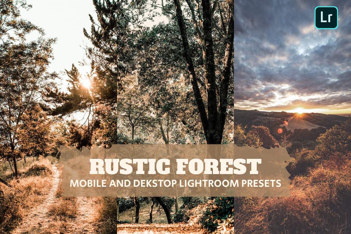 Rustic Forest Lightroom 预设桌面和移动版