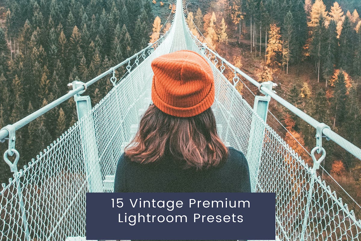 15 款复古高级 Lightroom 预设