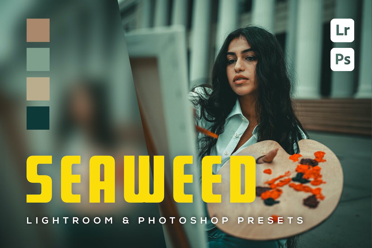 6 个海藻 Lightroom 和 Photoshop 预设