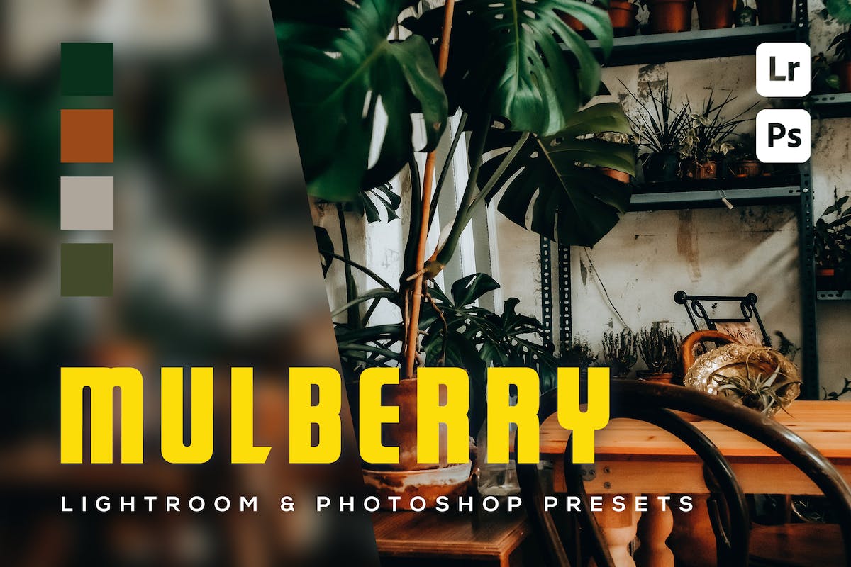 6 个 Mulberry Lightroom 和 Photoshop 预设