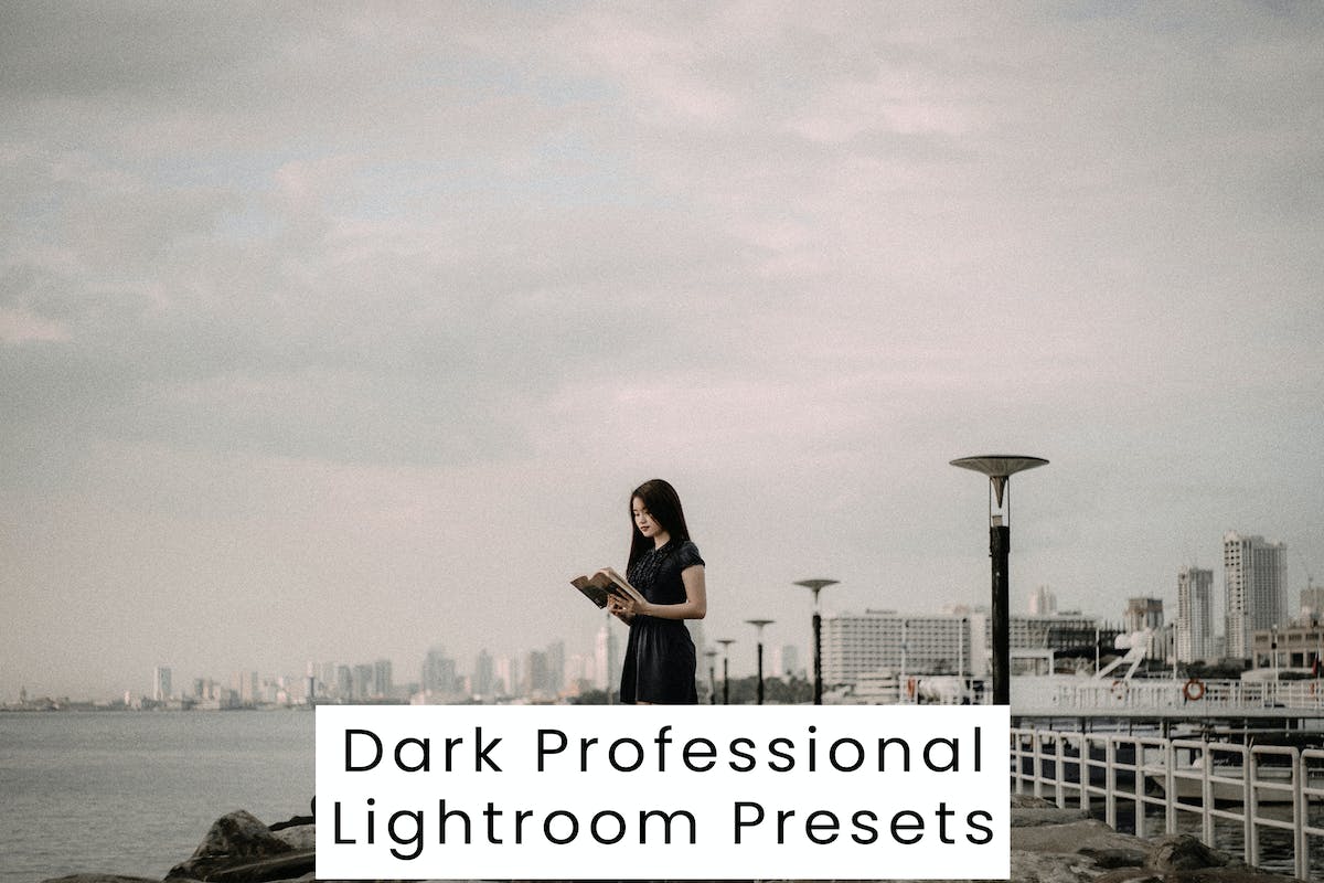 现代深色专业 Lightroom 预设