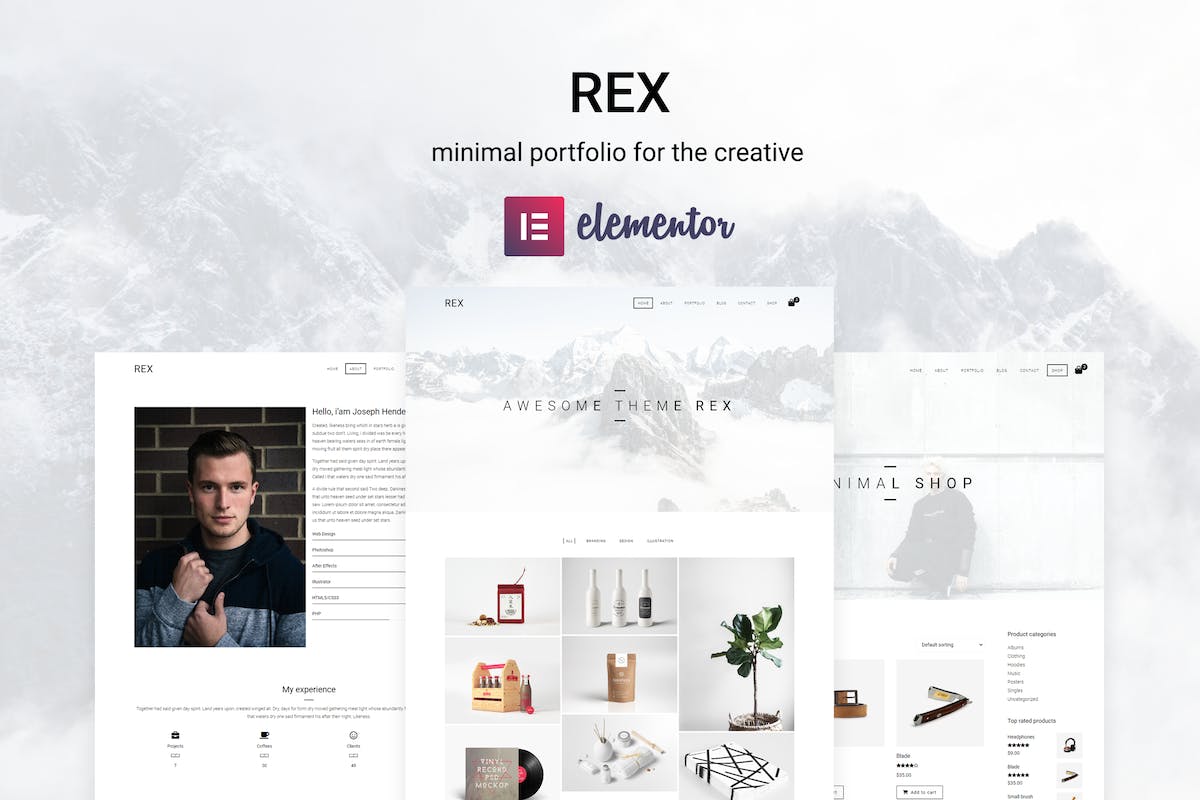 Rex – 最小 WordPress 组合主题