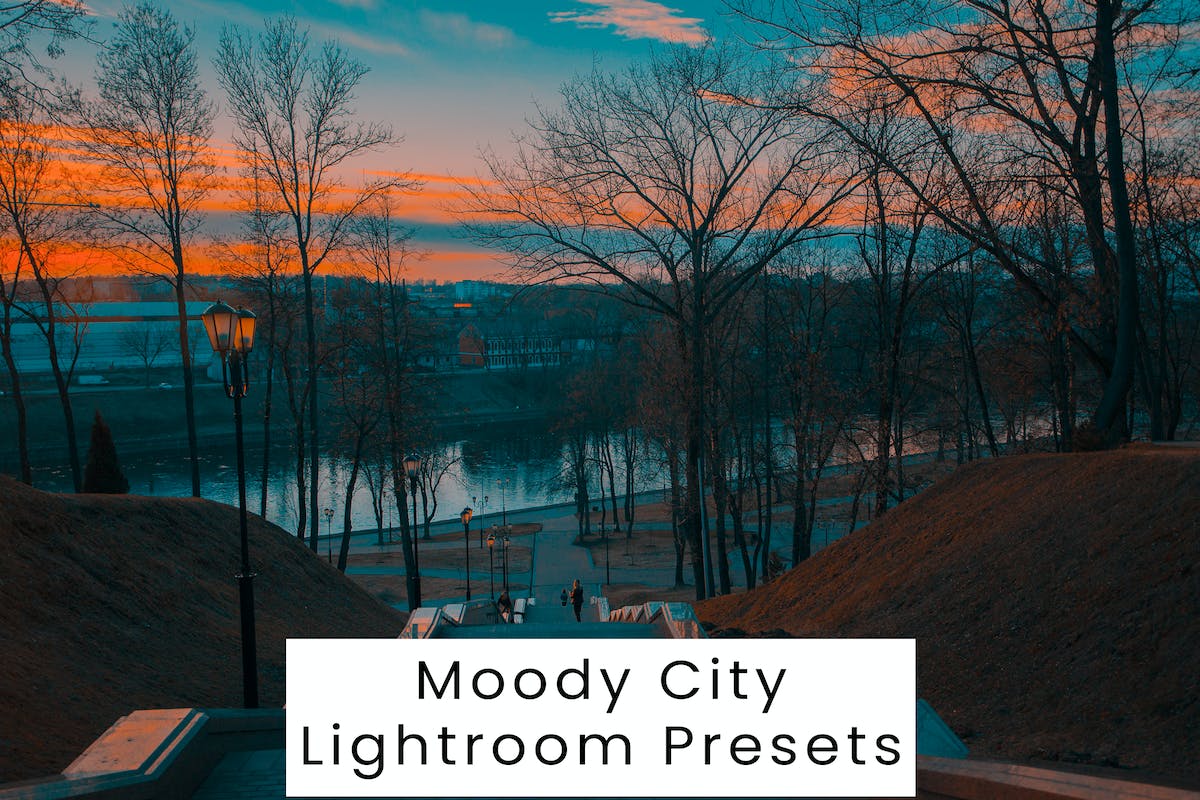穆迪城 Moody City Lightroom 预设