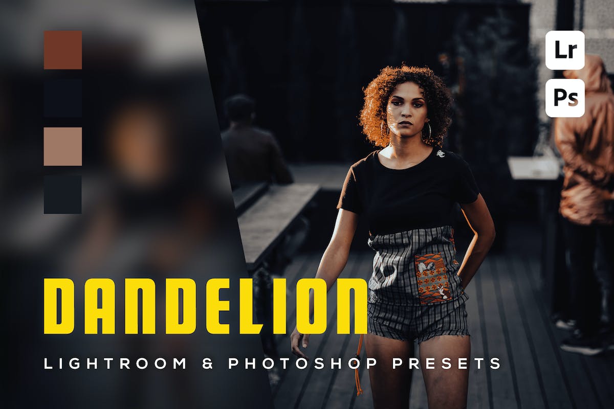 6 个蒲公英 Lightroom 和 Photoshop 预设