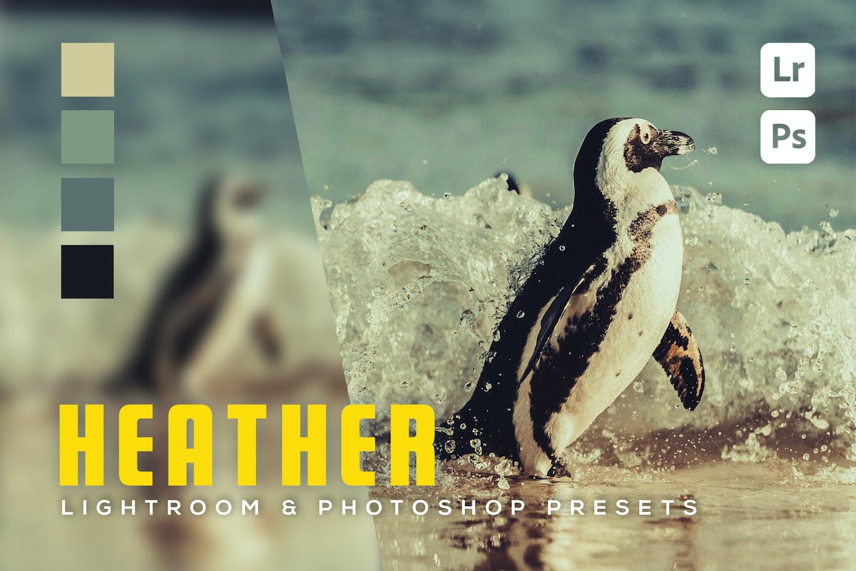 6 个 Heather Lightroom 和 Photoshop 预设