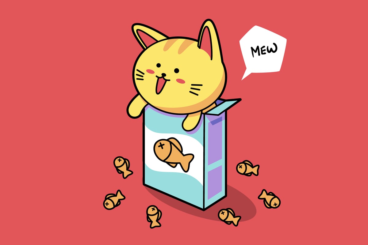 可爱猫食盒
