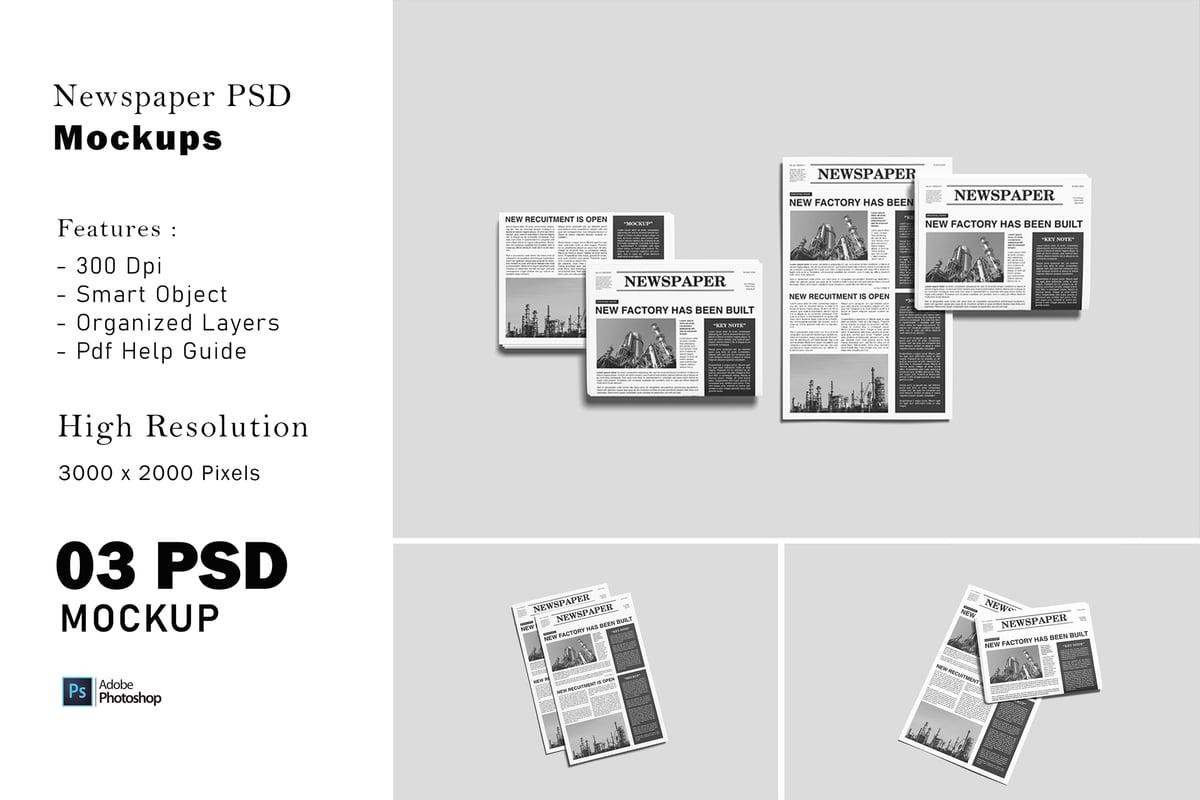 报纸 PSD 模型