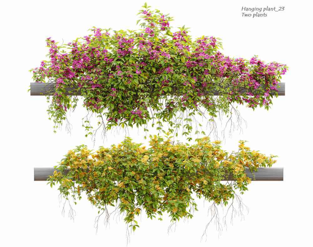 开花的藤蔓植物3D模型（FBX,MAX）