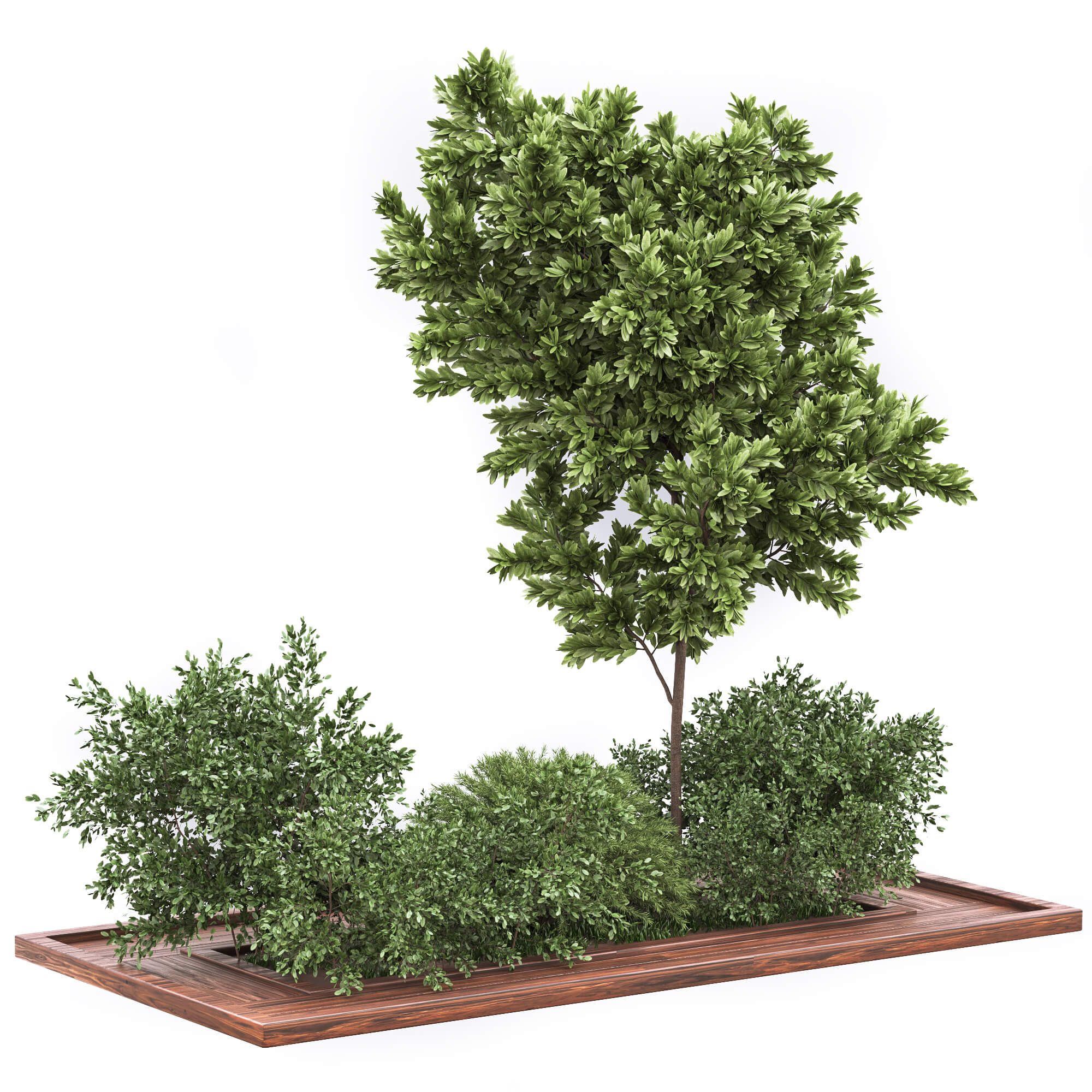包含树和灌木植物的绿植景观 花园景观3D模型（FBX,MAX）