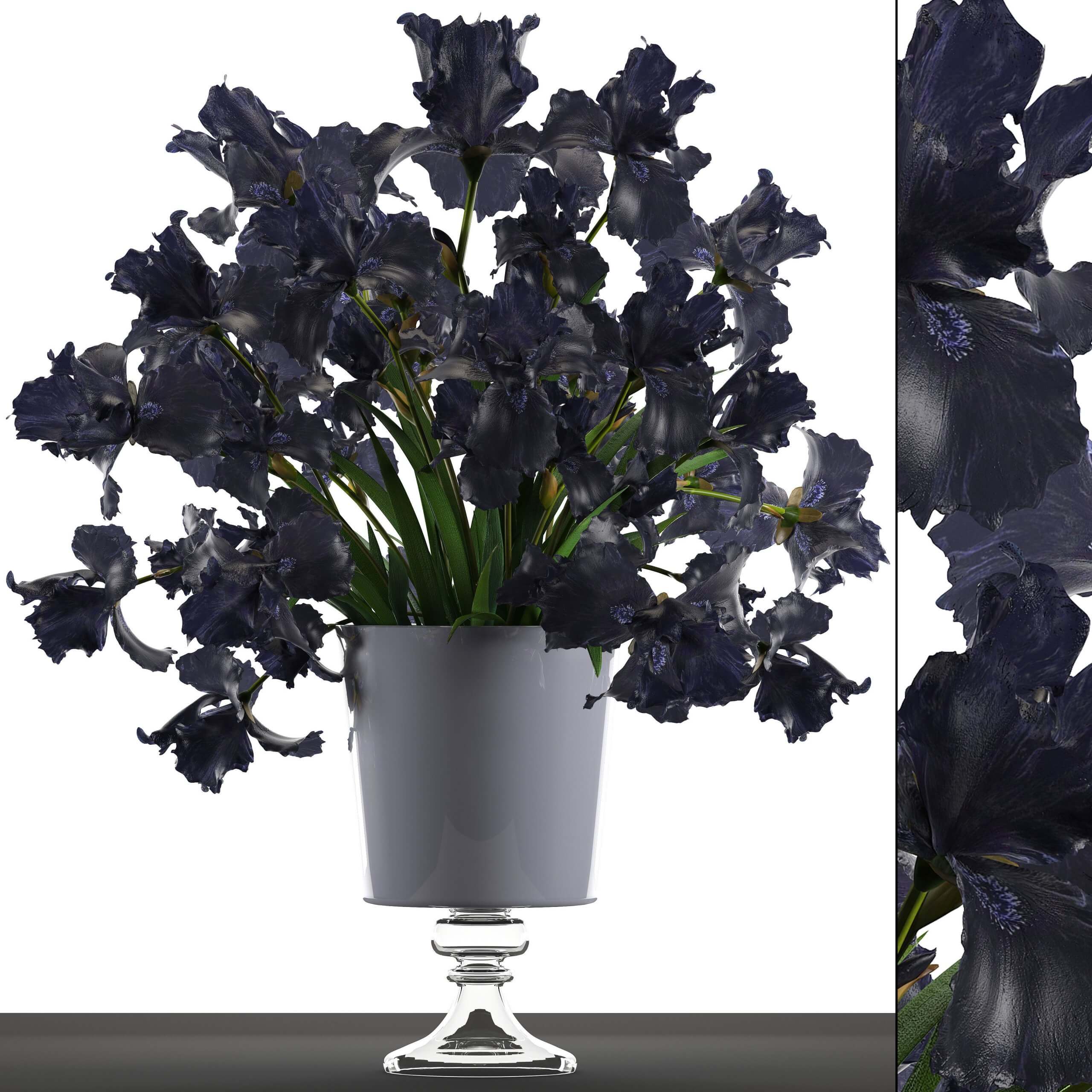 高脚花瓶中的黑鸢尾花束3D模型（FBX,MAX）