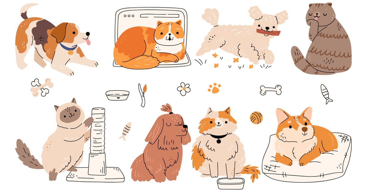 可爱快乐的宠物、狗和猫