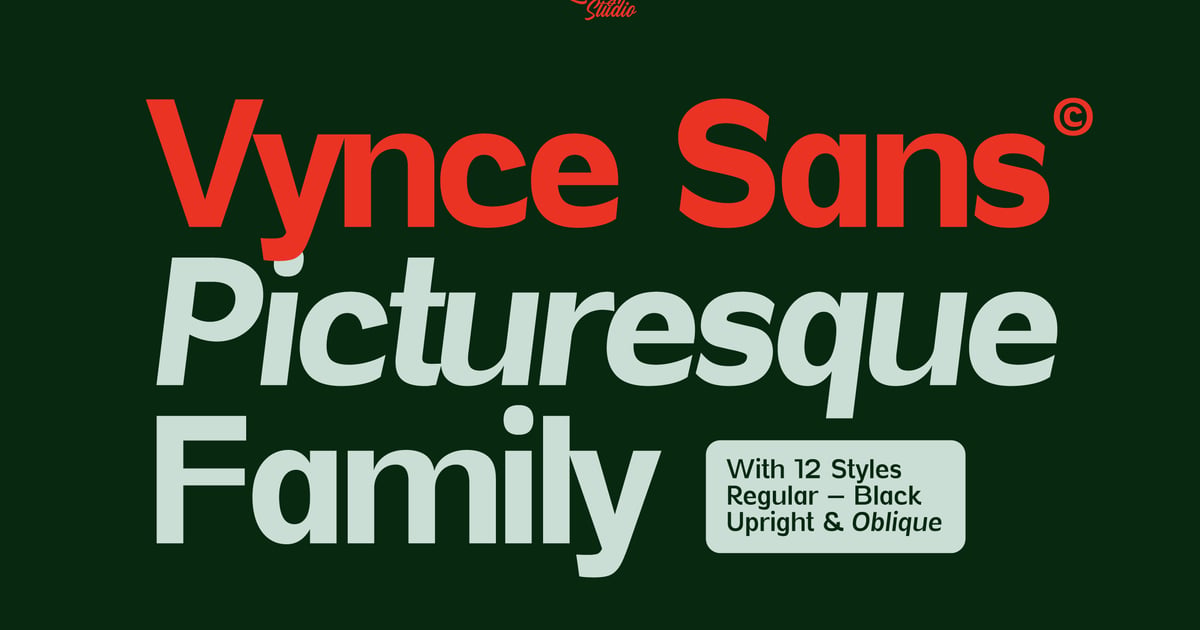 Vynce Sans 独特的风景如画的展示系列