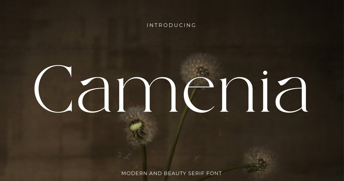 Camenia – 现代而美丽的衬线字体
