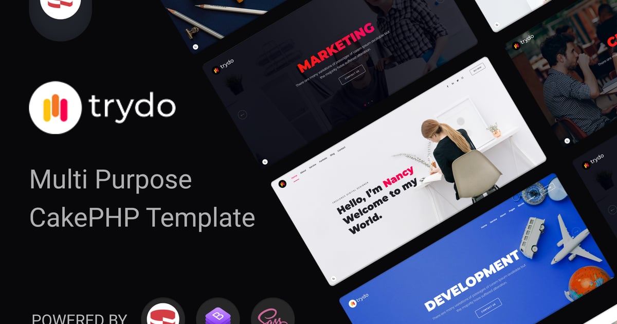 Trydo – 机构和作品集 CakePHP 模板